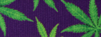 LEAFY (PURPLE)