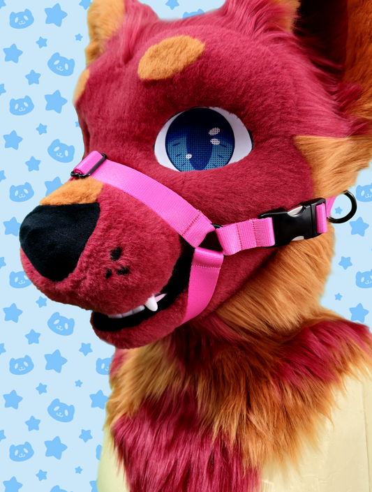 Muzzle - Hot Pink with Black Metal Hardware