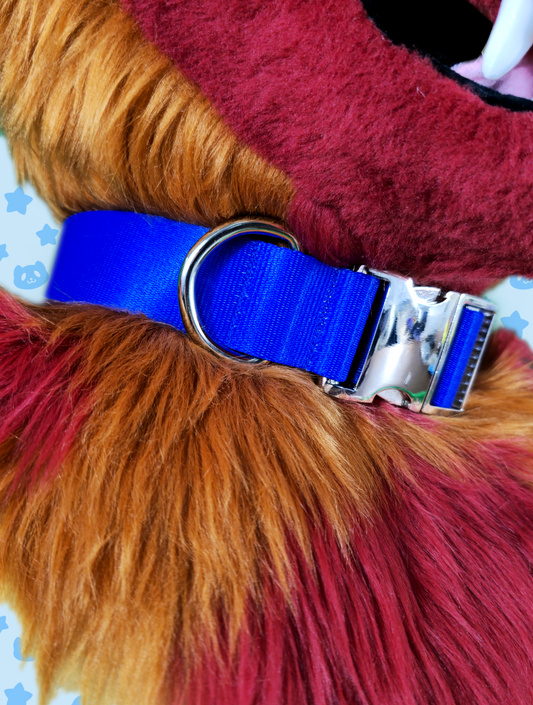 Collar - Royal Blue with Silver Metal Hardware