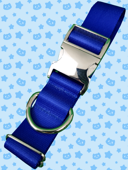 Collar - Royal Blue with Silver Metal Hardware