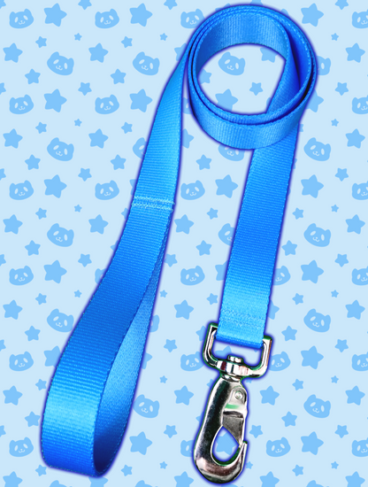 Leash - Light Blue with Silver Metal Hardware