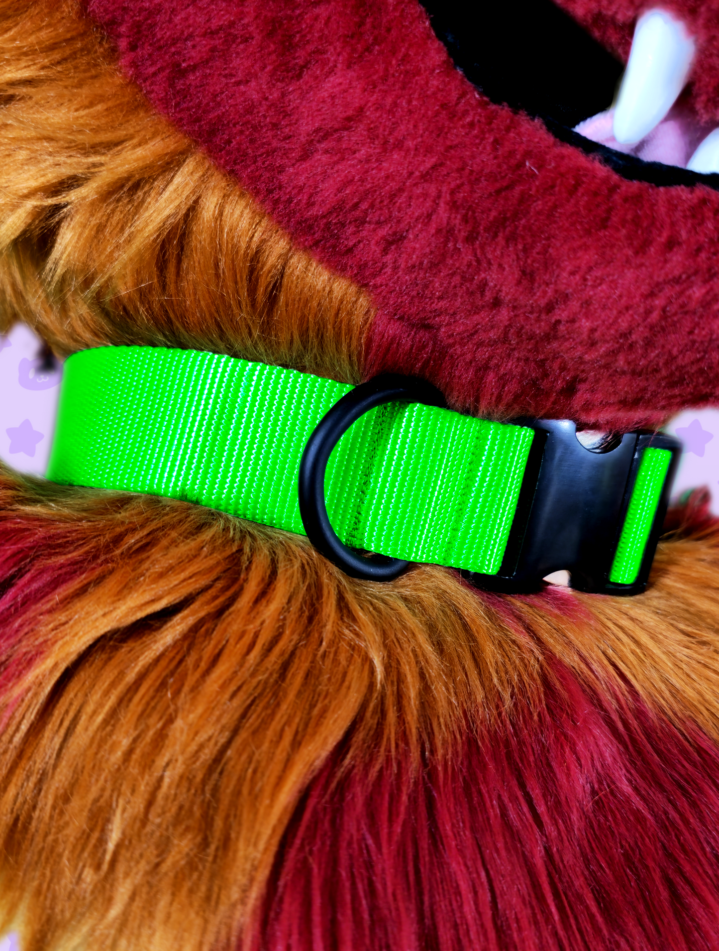 Collar - Neon Green with Black Metal Hardware