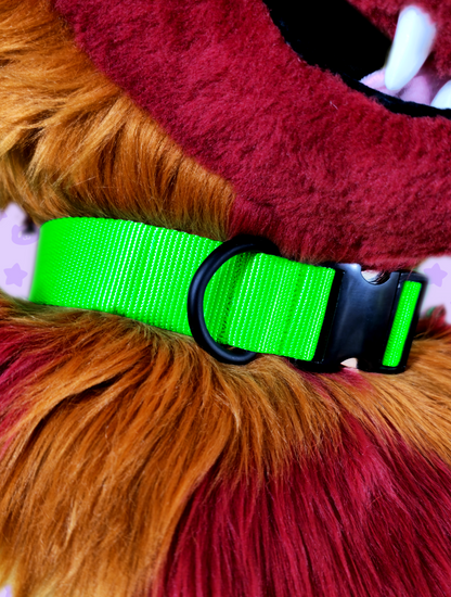 Collar - Neon Green with Black Metal Hardware