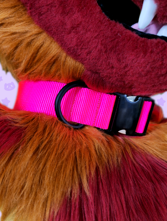 Collar - Neon Pink with Black Metal Hardware