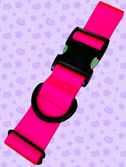 Collar - Neon Pink with Black Metal Hardware