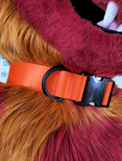 Collar - Orange with Black Metal Hardware