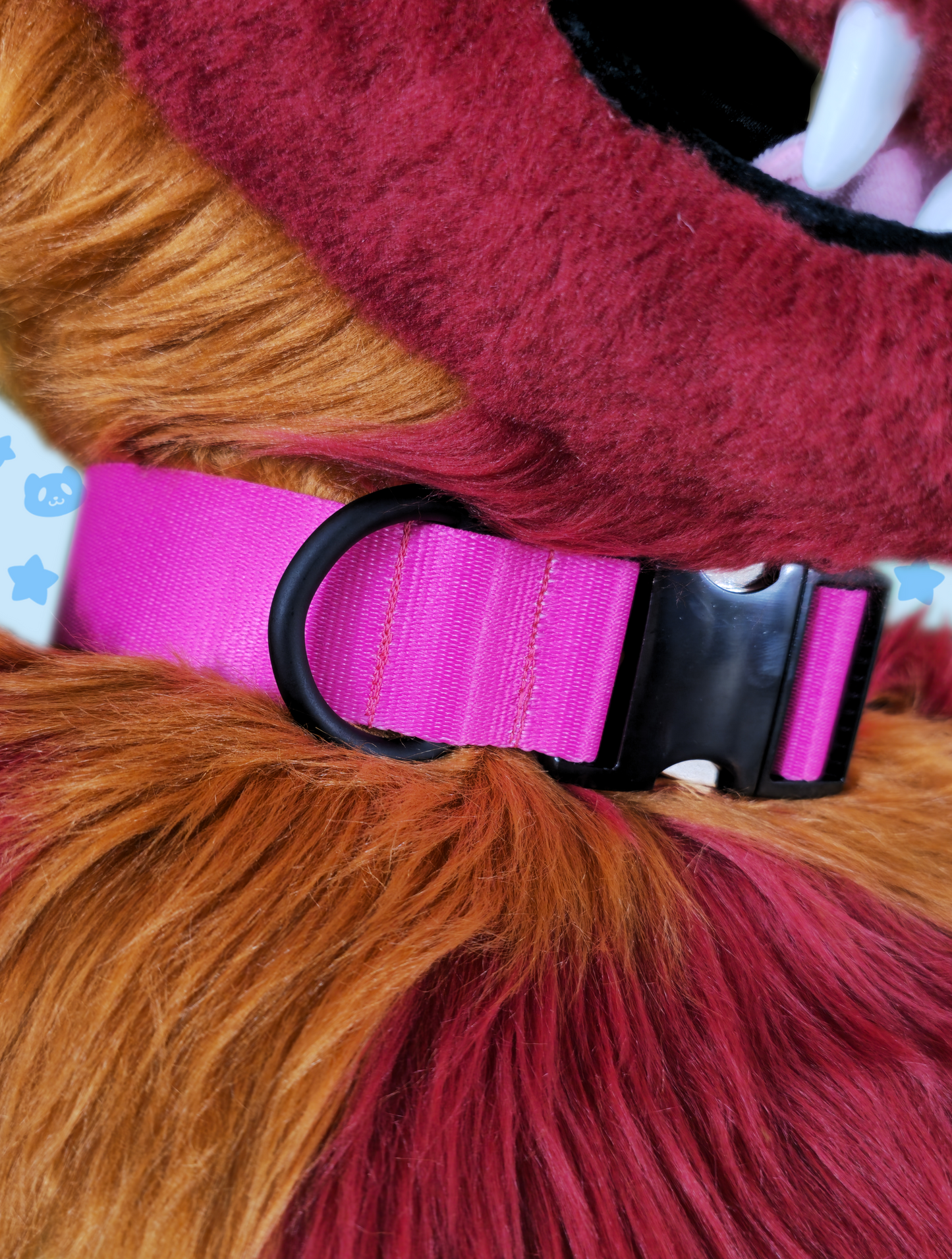 Collar - Hot Pink with Black Metal Hardware