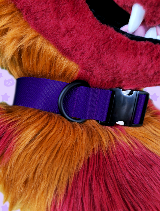 Collar - Purple with Black Metal Hardware