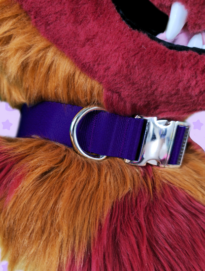 Collar - Purple with Silver Metal Hardware