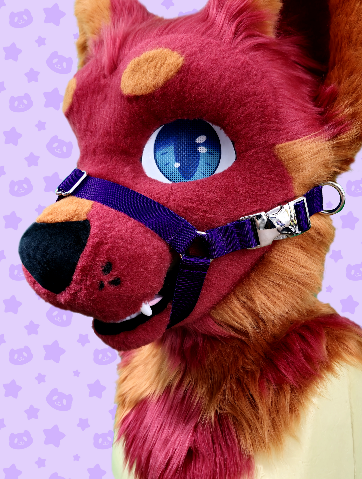 Muzzle - Purple Webbing with Silver Metal Hardware