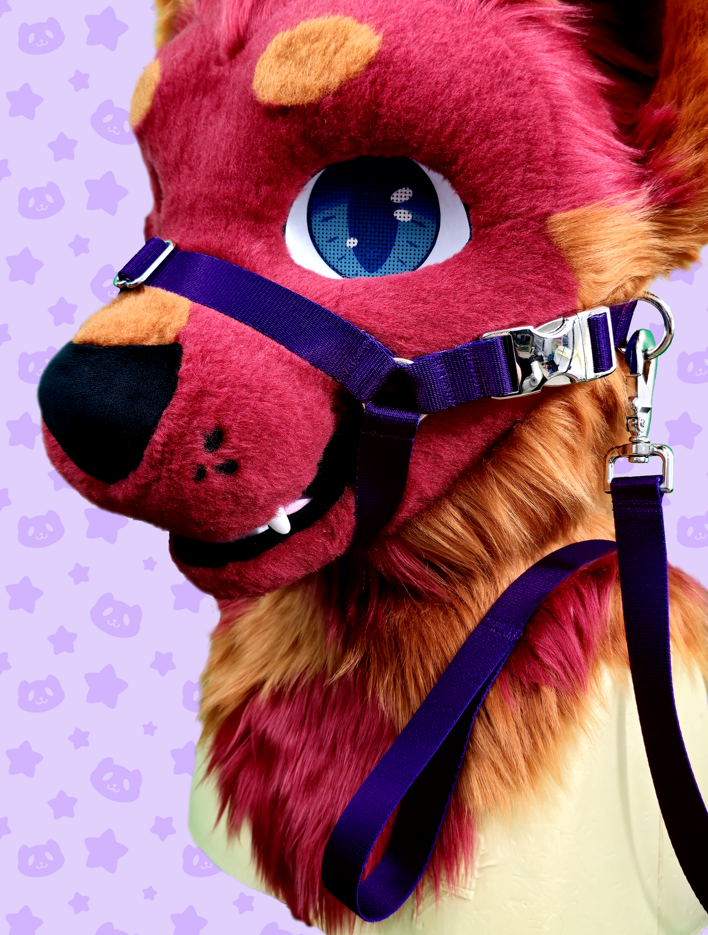 Muzzle - Purple Webbing with Silver Metal Hardware