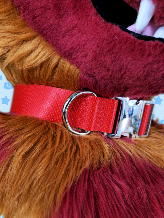 Collar - Red with Silver Metal Hardware