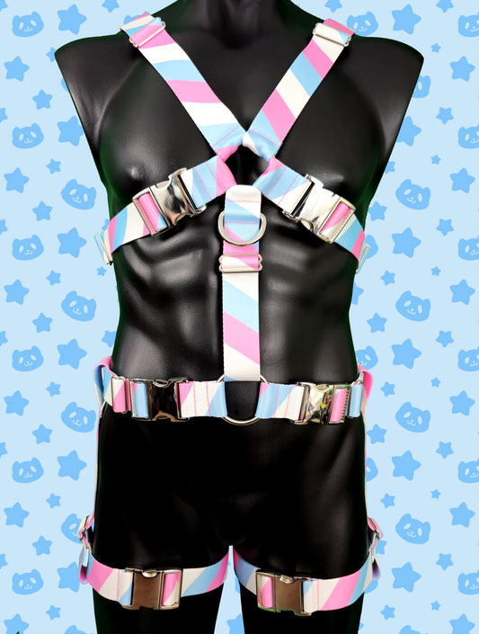 Chest Harness + Leg Straps - Trans Pride with Silver Metal Hardware