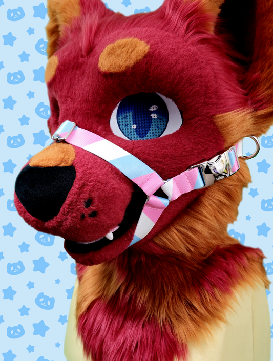 Muzzle - Trans Pride with Silver Metal Hardware