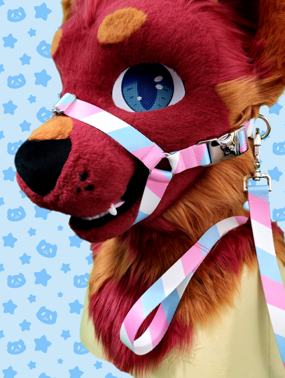 Muzzle - Trans Pride with Silver Metal Hardware